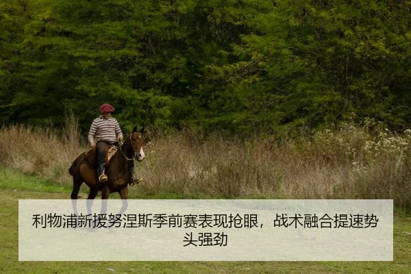 利物浦新援努涅斯季前赛表现抢眼，战术融合提速势头强劲